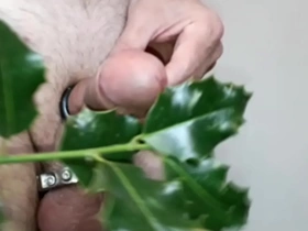 Holly for a christmas blarney joyful porn chinese abs