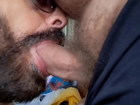 Bezerro carioca encontra mrxx singaporean joyful porn