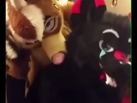 Fursuiters fuck in bathroom while bottom moans loudly hot straight cheerful porn