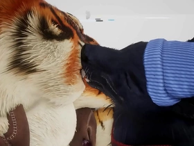 Wolf gives tiger an early christmas verified - wildlife japan gay porn be incumbent on you