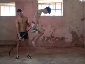 I'll use your ass and indiscretion in all ways i can think singapore gay porn telegram